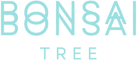 Bonsai Tree Care 101: Beginner's Guide - Bonsai Bonsai Tree