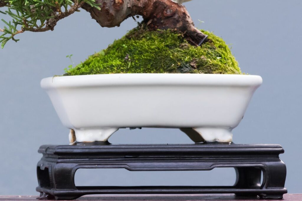 Glazed Bonsai Clay Pot