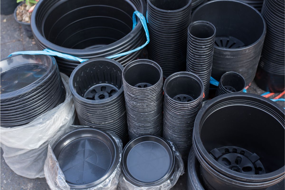 Should Bonsai Pots Have Holes Bonsai Bonsai Tree