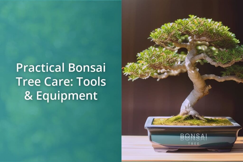 Practical Bonsai Tree Care Tools Equipment