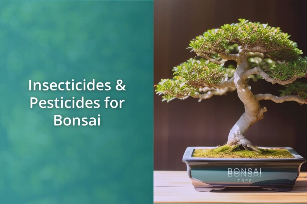 Insecticides Pesticides for Bonsai
