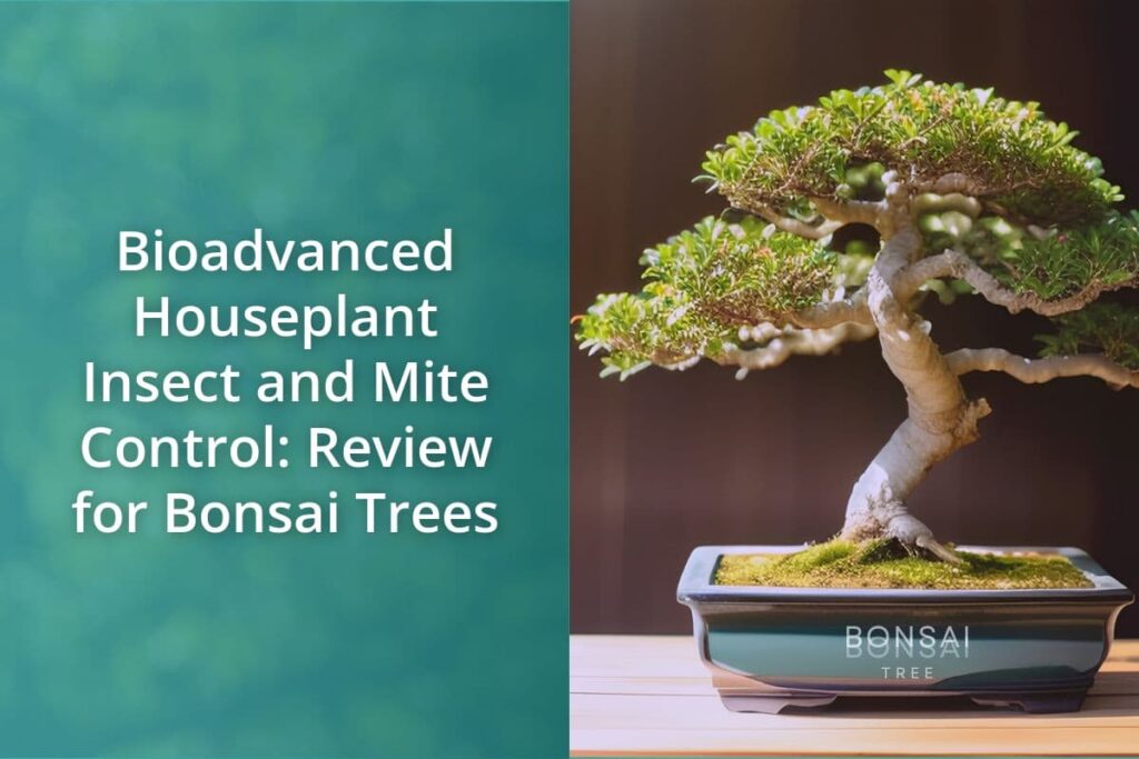 Bioadvanced Houseplant Insect and Mite Control Review for Bonsai Trees
