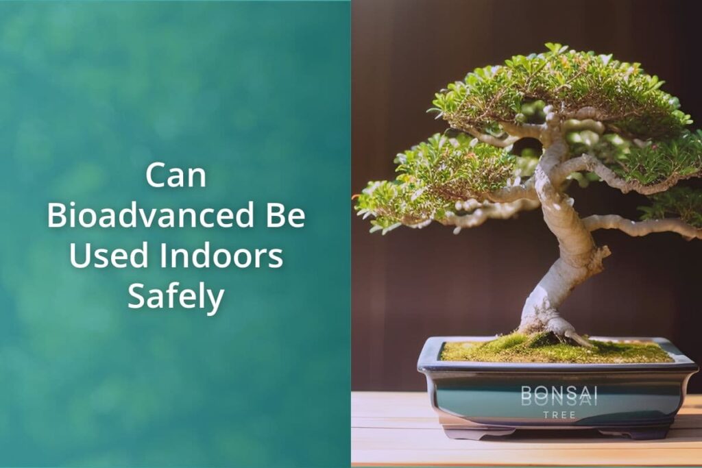 Can Bioadvanced Be Used Indoors Safely