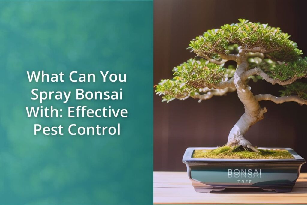 What Can You Spray Bonsai With Effective Pest Control